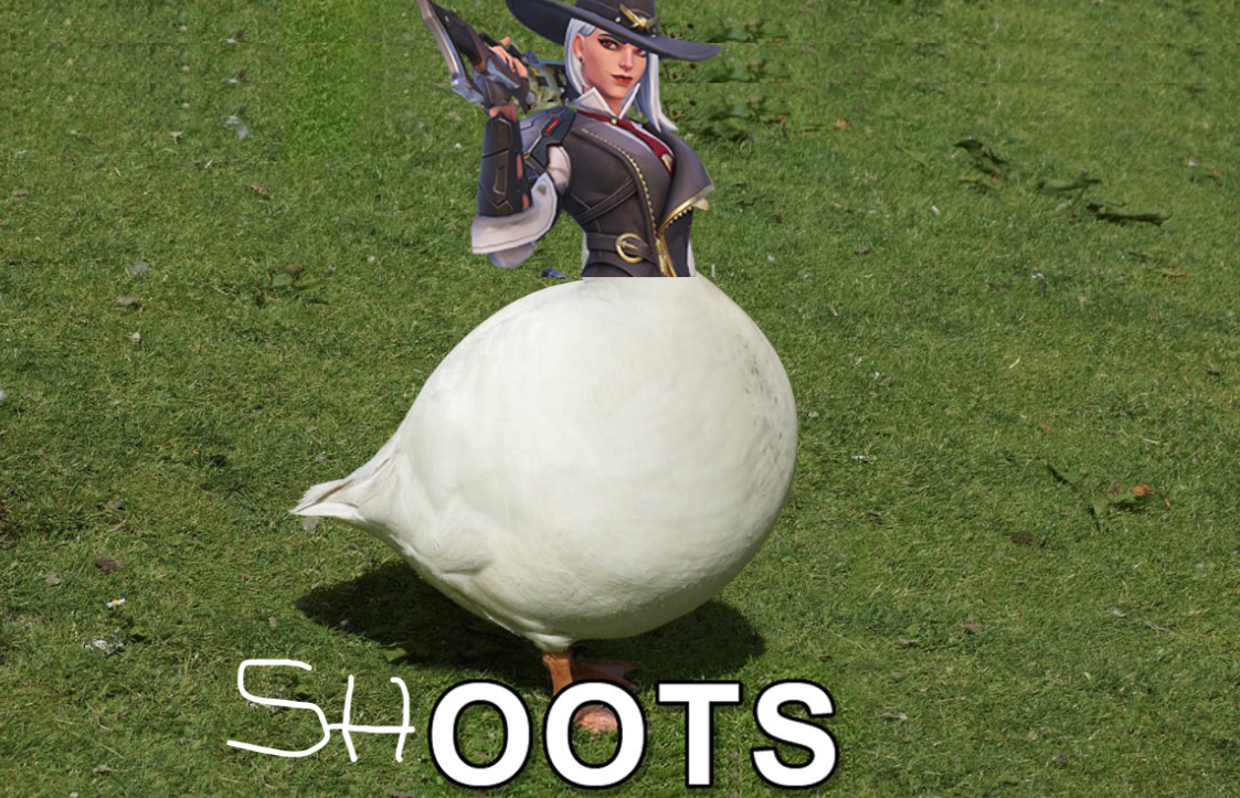 Ashe