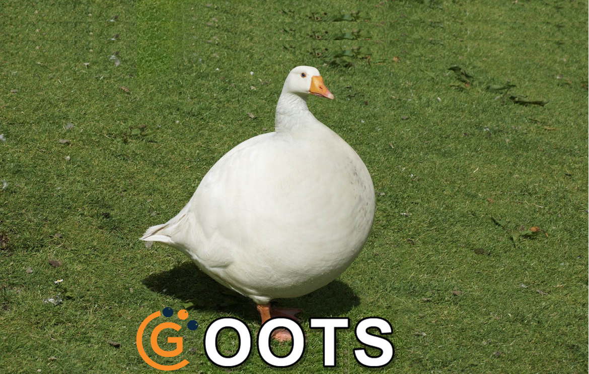 MSPGoots