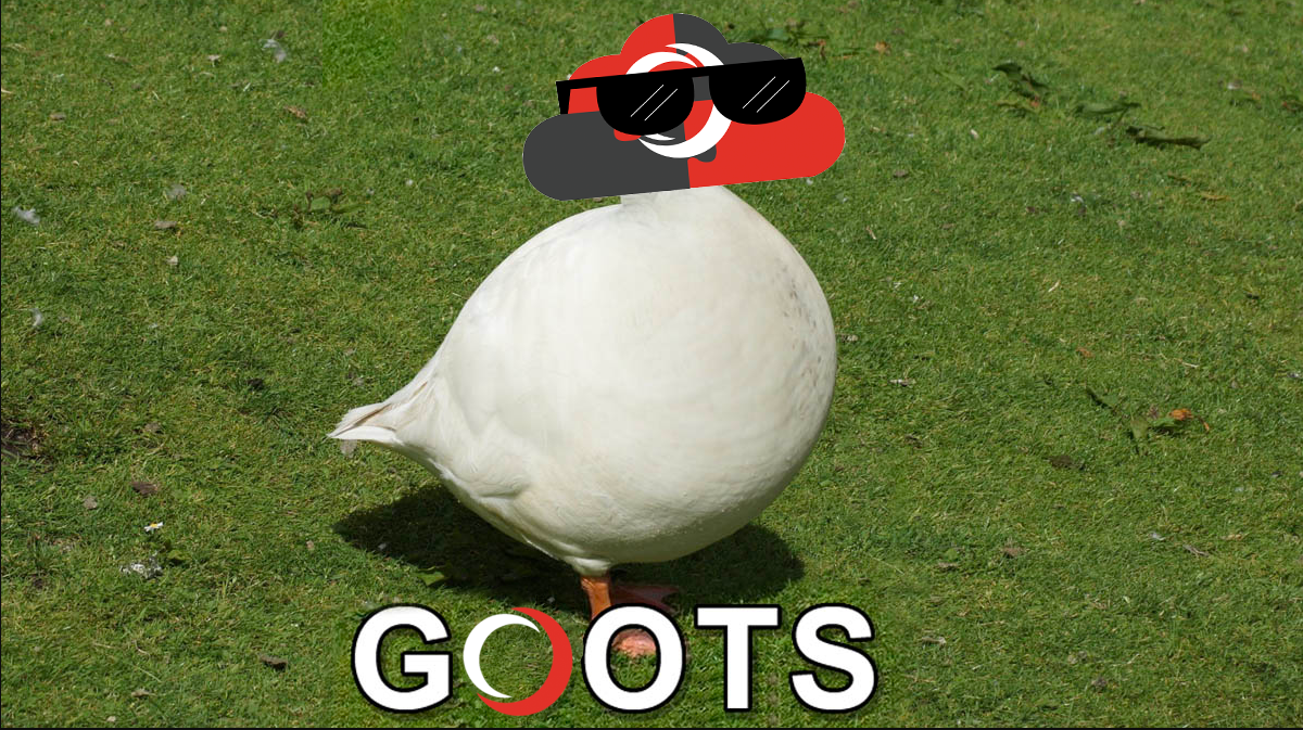 OotsVoIP