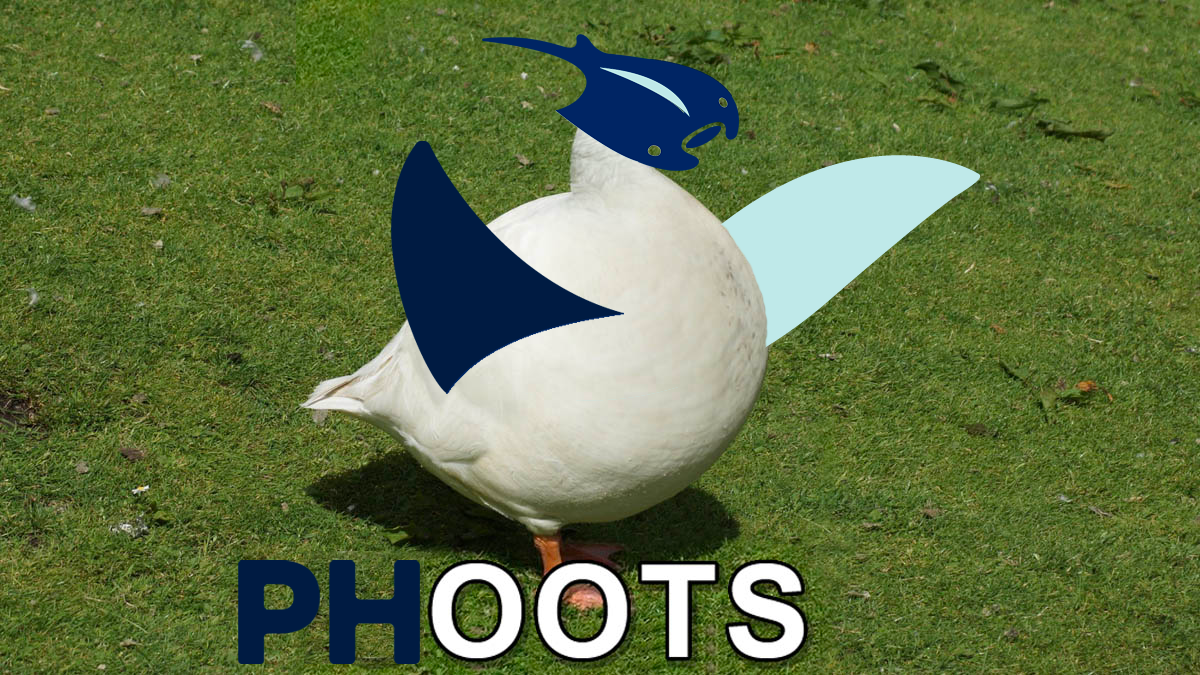 Phoots