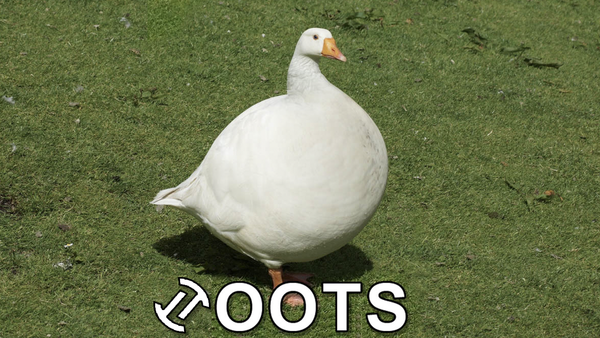Tiertoots